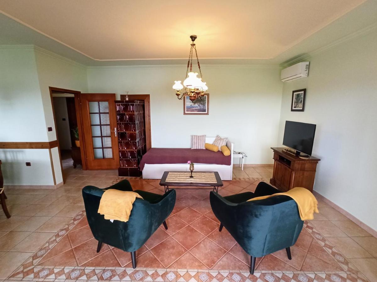 Villa Margerita With Private Pool, Yard And Parking Kaštelir エクステリア 写真